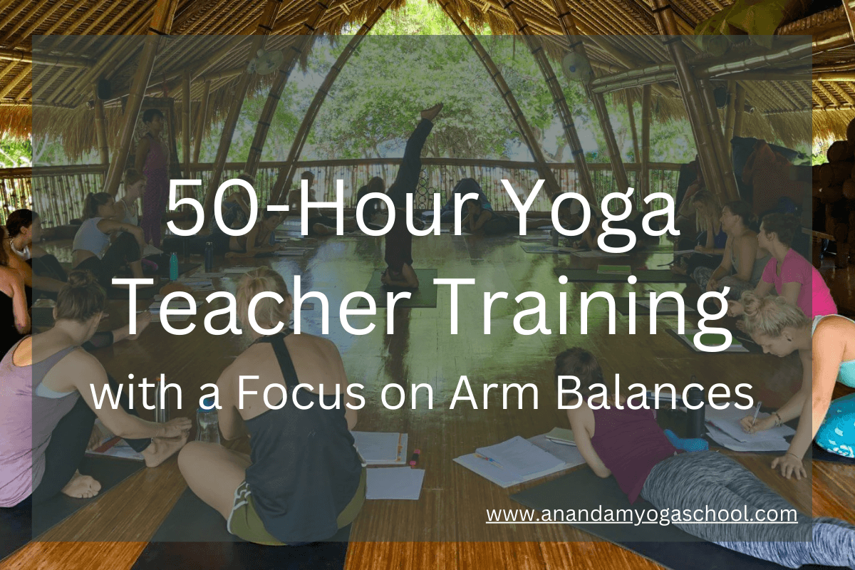 Mastering Arm Balance: Exploring the 50 Hour Yoga Teacher Training in Germany